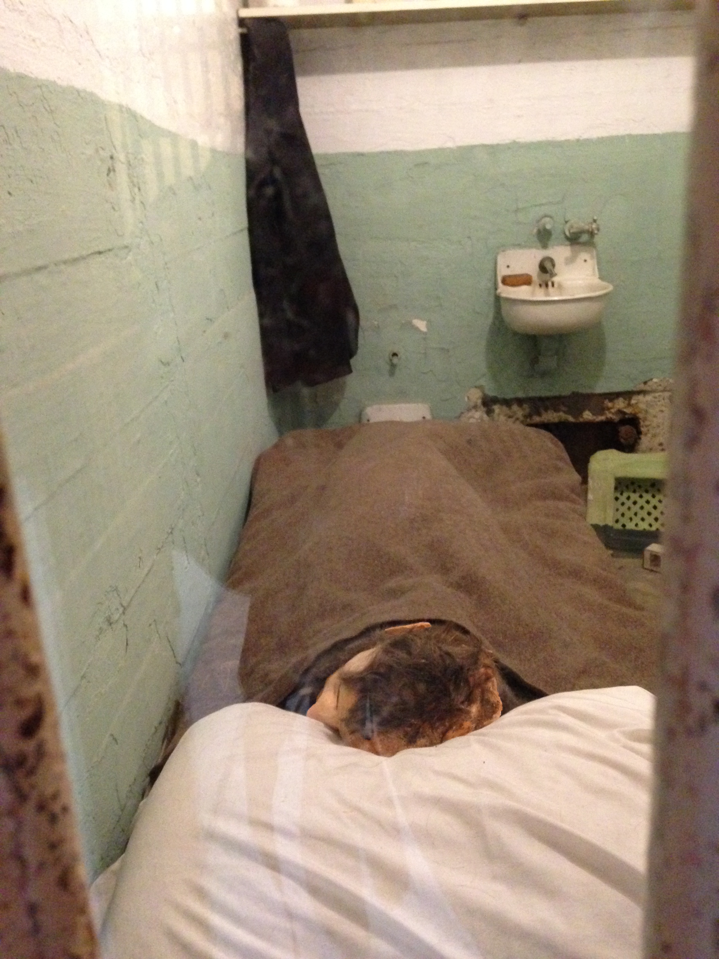 20140426 233139158 ios - Una visita a la Cárcel de Alcatraz