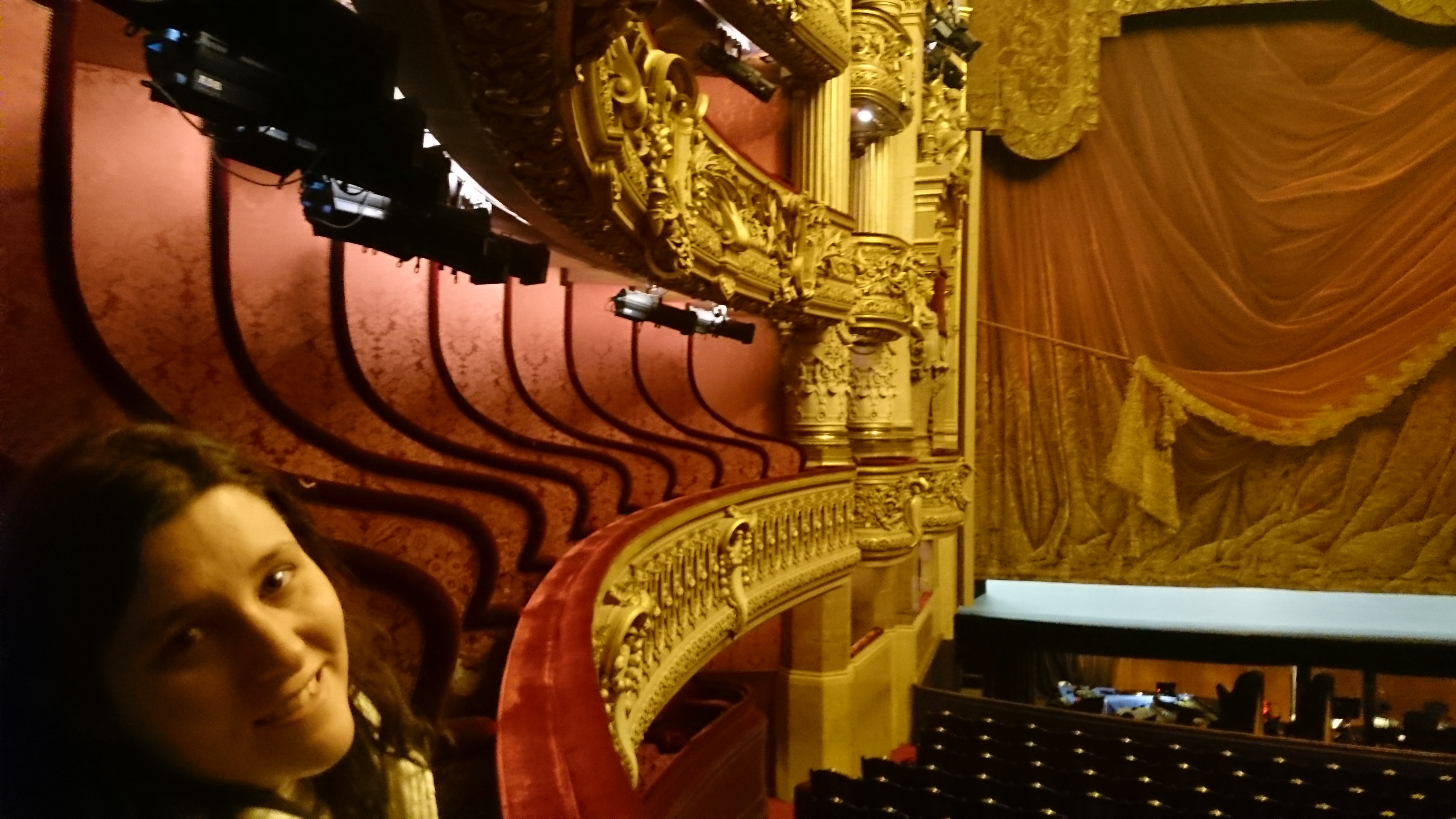 dsc 1039 - Una visita a la Opera de Paris (Palais Garnier)